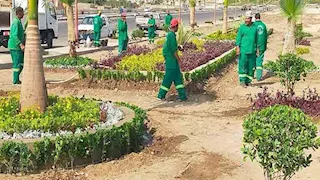 وزيرة التنمية المحلية تعلن انطلاق المرحلة الرابعة من مبادرة "100 مليون شجرة" بمحافظة الفيوم