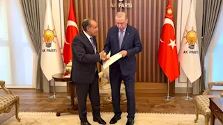  عبد العاطي يسلّم أردوغان رسالة من الرئيس السيسي ويناقشان الأوضاع بغزة والسودان