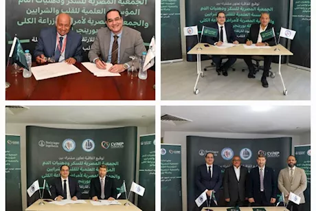 "بورينجر إنجلهايم" تطلق مبادرة لتوحيد ممارسات فحص وتشخيص وعلاج أمراض القلب والكلى والسكر