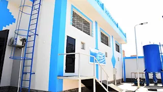 سفارة سويسرا تشيد بالتعاون المثمر مع أسوان (صور)