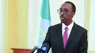 وزير الدولة الإثيوبي يجرى مباحثات مع سفير الإمارات لدى أديس أبابا