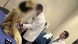 الصحة: نجاح خطة التأمين الطبي لافتتاح المتحف الكبير.. وعلاج 81 زائرًا