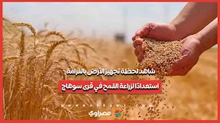 شاهد لحظة تجهيز الأرض بالفرامة استعدادًا لزراعة القمح في قرى سوهاج