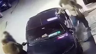 خلاف مروري في البحيرة.. سيدة وشقيقها يكسران سيارة بسبب "معاكسة"