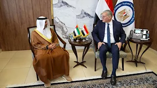 مباحثات مصرية إماراتية لتعزيز التعاون في البترول والغاز