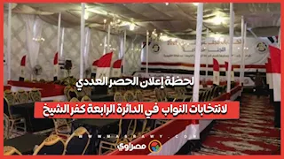 كفر الشيخ.. لحظة إعلان الحصر العددي لانتخابات النواب في الدائرة الرابعة