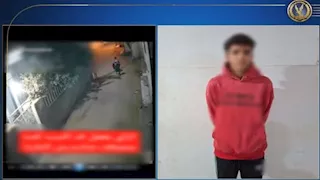 فيديو صادم | شاب يعتدي على سيدة بالشارع في المنوفية.. والداخلية تكشف تفاصيل