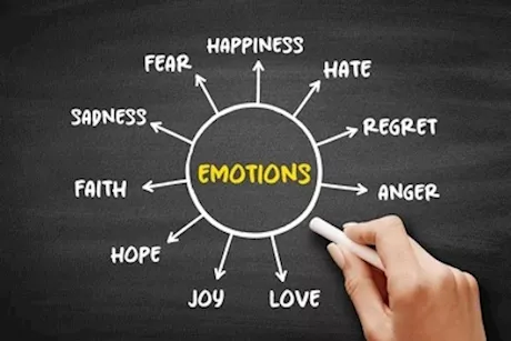 "دوق معايا الحب"- هل للمشاعر طعم؟ "فيديوجرافيك"