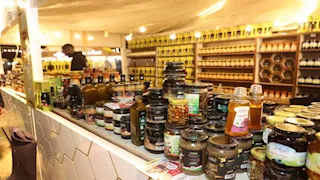 محافظ القاهرة يفتتح مهرجان العسل المصري الثامن بحديقة الحرية