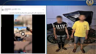 فيديو| سائق "حنطور" يجبر سائحة على الركوب في محطة الرمل.. والأمن يتحرك