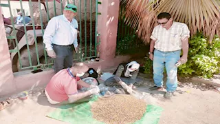 بالصور - حملة لمكافحة القوارض عقب حصاد المحاصيل الصيفية بالبحيرة 