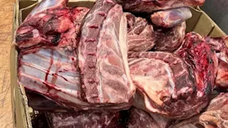 الطب البيطري بالقليوبية يضبط 120 كيلو لحوم مذبوحة خارج المجازر الرسمية