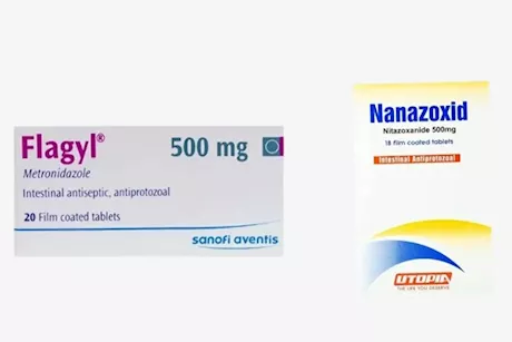 نانازوكسيد وفلاجيل- أيهما أفضل مطهر معوي لحالتك؟