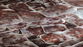 خلال أسبوع.. ضبط 10.7 أطنان لحوم فاسدة وتحرير 650 مخالفة بالدقهلية