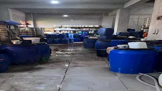 بالصور- ضبط مصنع منظفات غير مرخص بالمنوفية والتحفظ على 6 أطنان خامات 