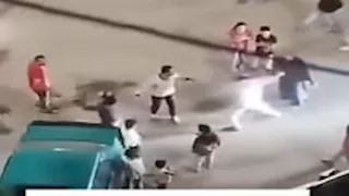 "كلاب هاجمته".. الداخلية تكشف ملابسات مشاجرة بالغربية