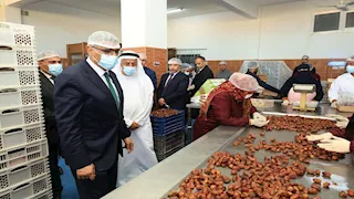 محافظ الجيزة يتفقد خطوط الإنتاج بأحد مصانع تعبئة وتغليف التمور وزيت الزيتون بالواحات البحرية