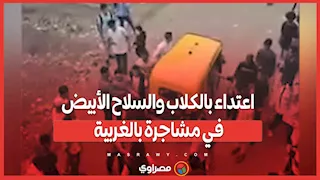 اعتداء بالكلاب والسلاح الأبيض في مشاجرة بالغربية.. والداخلية تتحرك