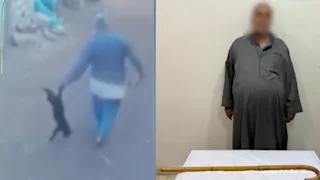 عبثت بمحتويات منزله.. ضبط عامل اعتدى على قطة بكفر صقر
