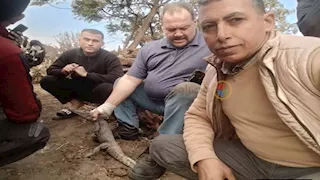  اصطياد تمساح الزوامل بعد أسبوع من البحث والهدوء يعود للشرقية -صور