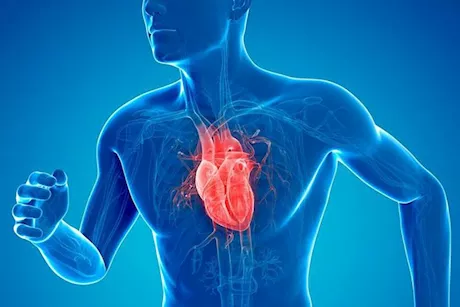 كيف تساعد التمارين الهوائية في مكافحة تصلب القلب؟