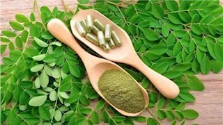 10 قطرات مرتين يوميًا.. تعرف على فوائد "المورينجا" للأطفال 