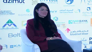 المشاط: التمويلات التنموية الميسرة متاحة بشكل كبير للقطاع الخاص في مختلف القطاعات