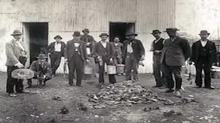 "تتجاوز حدود الخيال".. أغرب الوظائف حول العالم