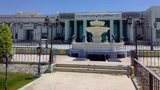 جراحة دقيقة برأس سدر تنقذ سودانيًا من انفجار "الإثنى عشر"