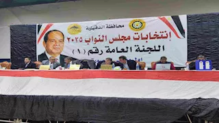 رضا عبد السلام يتصدر.. الحصر العددي لانتخابات المنصورة بالدقهلية