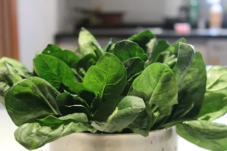 أكثر من السبانخ- هذه الأطعمة غنية بالحديد