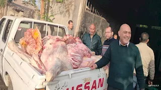 ضبط لحوم مريضة وأختام مزورة داخل مزرعة في القليوبية 