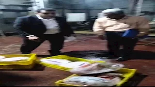 ضبط 30 طن كفتة منتهية الصلاحية قبل طرحها بالأسواق في الجيزة.. صور