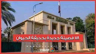 118 فصيلة جديدة.. لقطات حديثة تكشف نسب الإنجاز بعمليات تطوير حديقة الحيوان