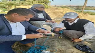 بعد ظهور تمساح بلبيس.. ما هي عقوبة حيازة الحيوانات الخطرة؟