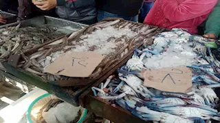 بالصور- تخفيضات واسعة في المعرض الدائم للسلع بالمنصورة