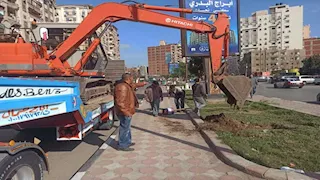 الدقهلية تتزين بالأخضر.. إطلاق المرحلة الرابعة ضمن "100 مليون شجرة" (صور)