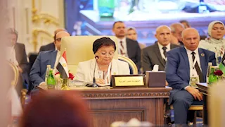 نائب وزير الصحة: خفض معدل الإنجاب الكلي إلى 2.4 مولود لكل سيدة