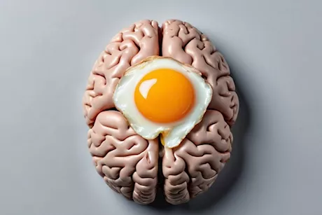 ماذا يحدث للدماغ عند تناول صفار البيض؟