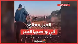 ‎الخيل معقود في نواصيها الخير.. المرماح في ميدان منافسة الفرسان بالأقصر