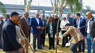 صور.. بدء زراعة وتشجير الدائري والمحاور المرورية بالقليوبية