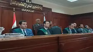 "حاولت ركوب الترند".. النيابة الإدارية ترد على دفاع الطبيبة وسام شعيب