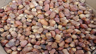 غدا السبت.. انطلاق المهرجان الدولي الثامن للتمور بالواحات البحرية