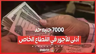 7000 جنيه حد أدنى للأجور في القطاع الخاص.. و28 جنيهًا للساعة المؤقتة