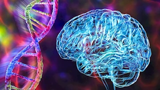 مرض دماغي نادر يضرب ولاية أمريكية.. ما أعراضه؟