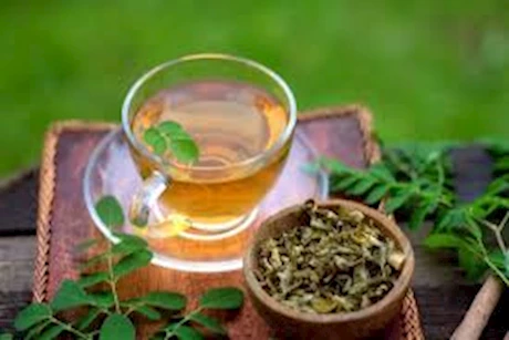 المورينجا.. سر طبيعي للسيطرة على ضغط الدم