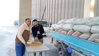 42 موقعاً تخزينيا.. صوامع المنيا تستقبل 8205 أطنان من القمح 