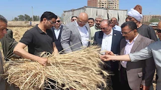 محافظ القليوبية يتفقد صوامع القمح ويؤكد المحصول مبشر والانتاج وفير - صور