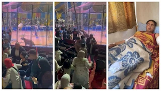 لماذا أدخل ذراعه في القفص؟ .. فيديو جديد يوثق لحظة هجوم النمر على عامل سيرك طنطا