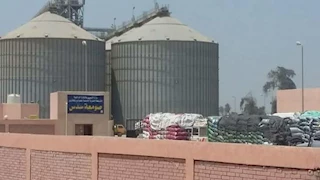 توريد 35 ألف طن قمح للشون والصوامع في بني سويف 